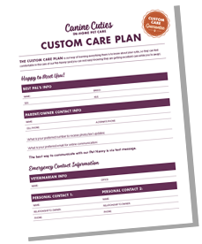 custom-care-plan
